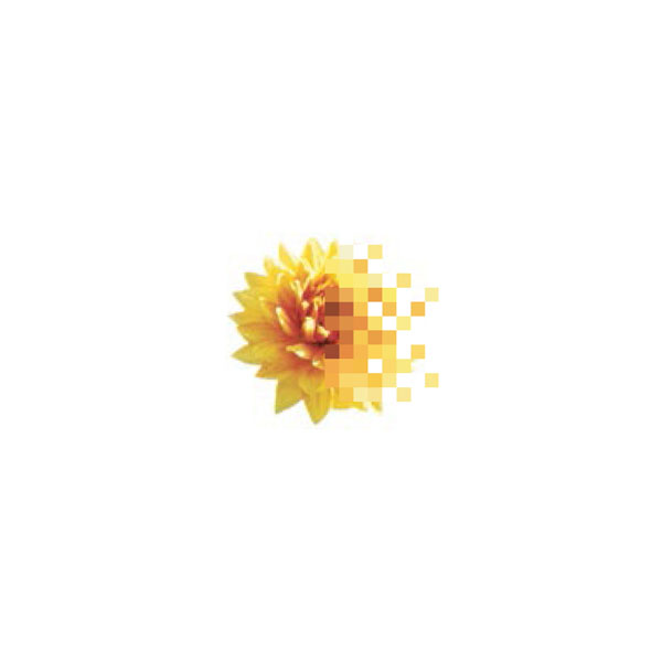 logo__07